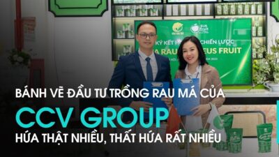 Nhà đầu tư học cách kiếm tiền tỉ từ trồng rau má như thế nào?